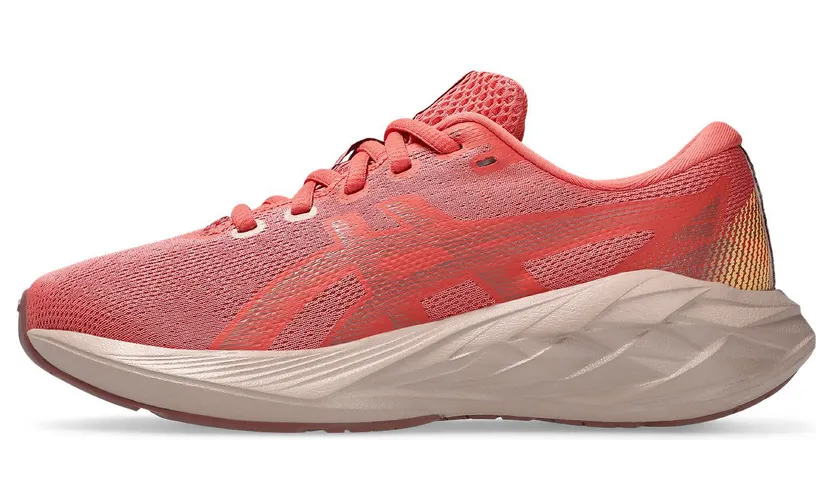 asics-novablast 1014A367-700