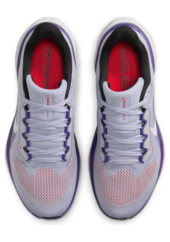 nike-air-pegasus FD2723-013