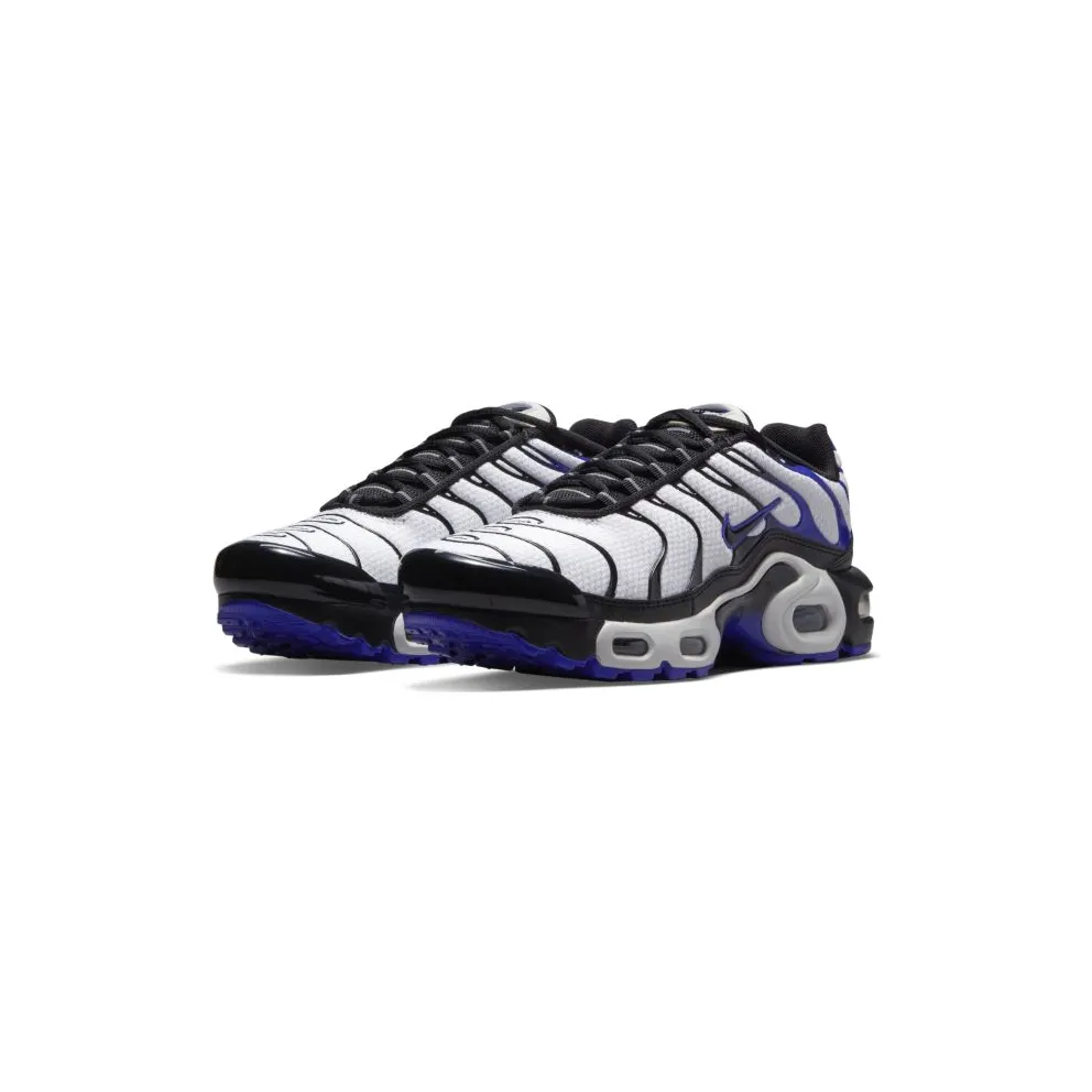 Nike Air Max Plus Persian Violet (GS) (CD0609-104)