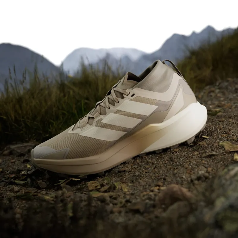 adidas Terrex Agravic Gore-Tex Trail Blanch Cargo Alumina Putty Beige (JR1507)