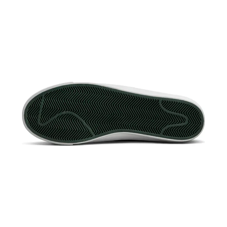nike-zoom DR9099-100