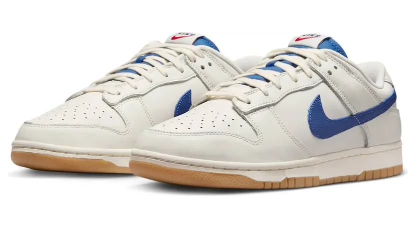 nike-dunk DX3198-133