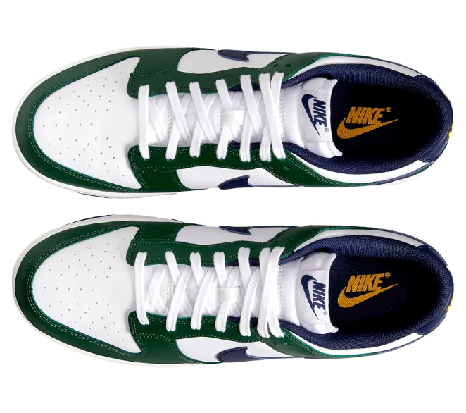 nike-dunk FV6911-300
