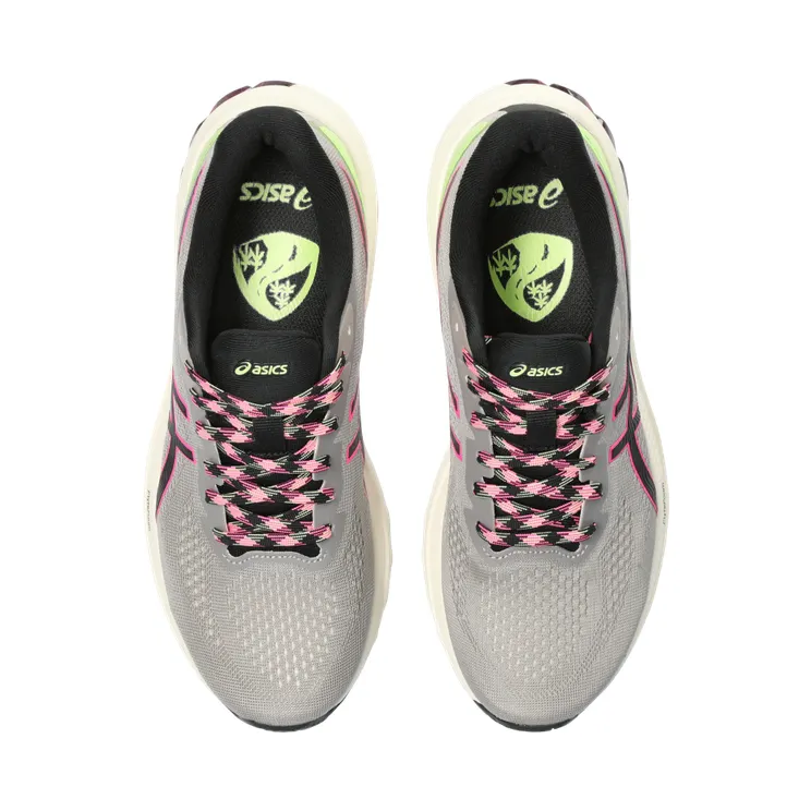 asics-gt-1000 1012B575.200