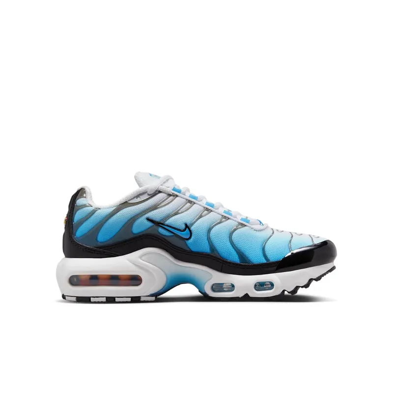 Nike Air Max Plus Ice (FD9767-100)