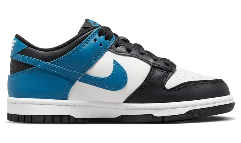 nike-dunk DH9765-104