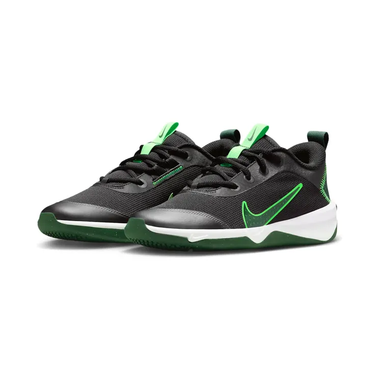 nike-omni-multi-court DM9027-012