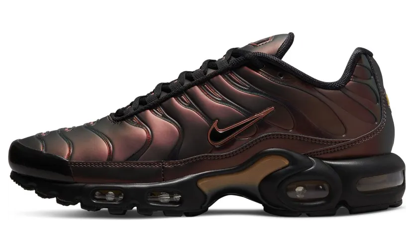 Nike Air Max Plusen Zwart (DH4778-001)