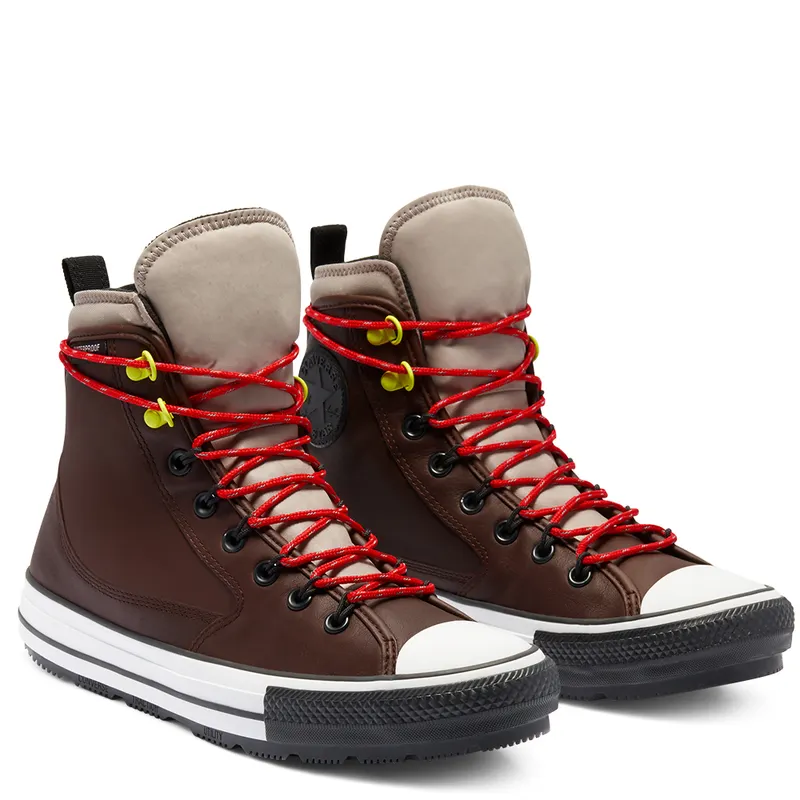 Converse All Terrain Chuck Taylor All Star High Top Dark Root/malted (169588C)