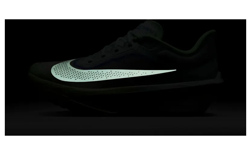 nike-zoom FN8454-300