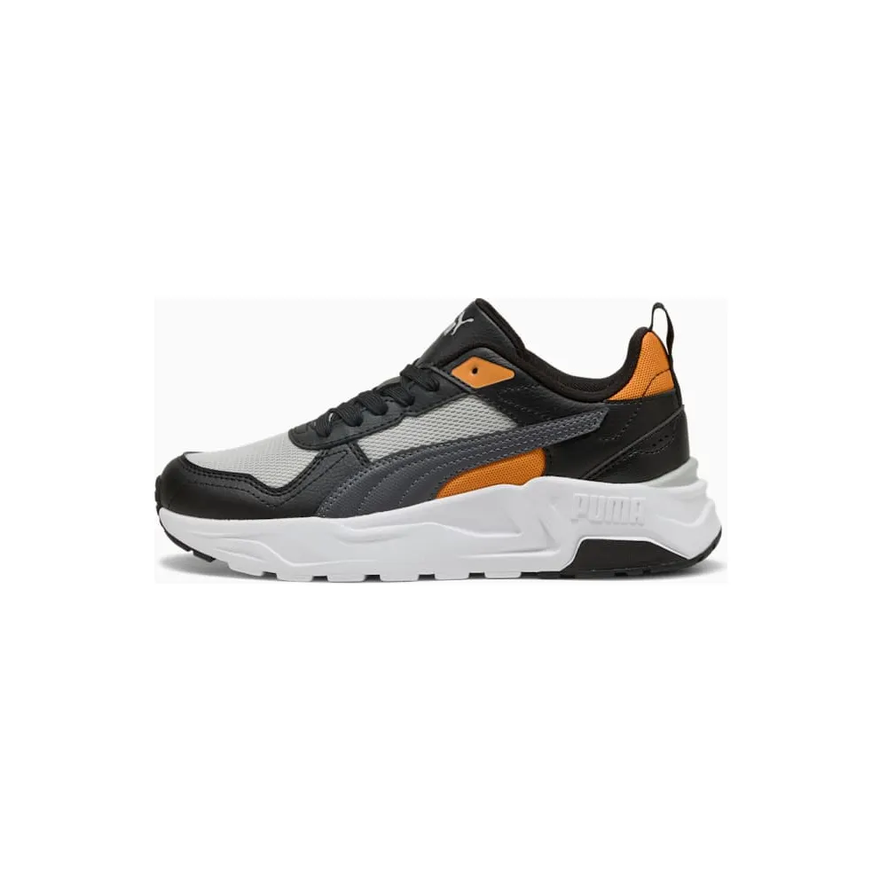 Puma Trinity Cool Light Gray-Moody Gray-PUMA Black (403703-15)