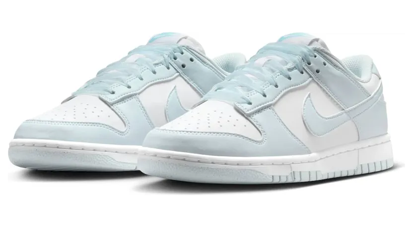 nike-dunk IB7311-100