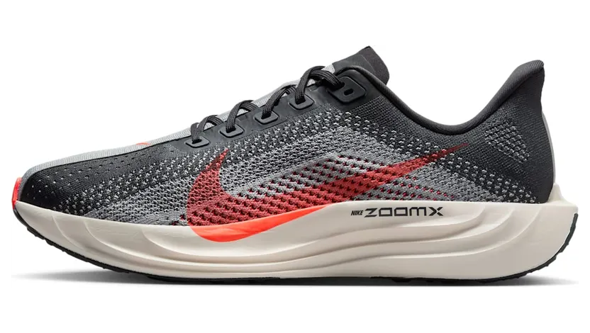 nike-air-pegasus FQ7262-007