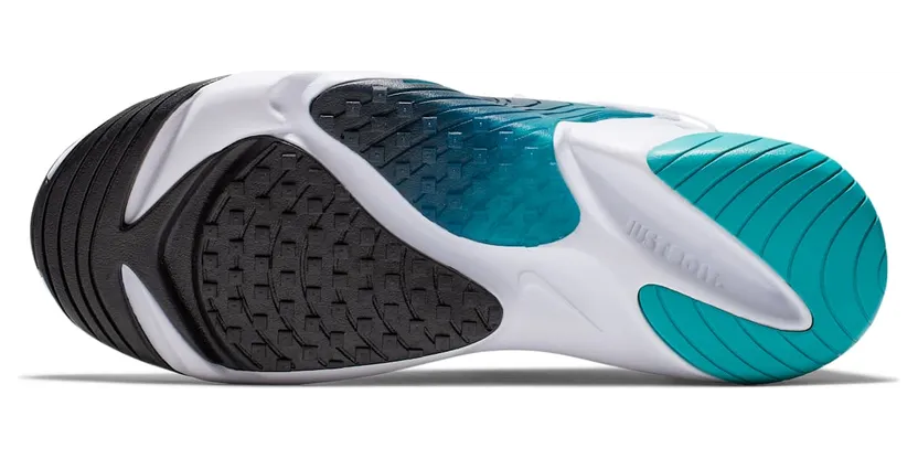 nike-zoom AO0269-106