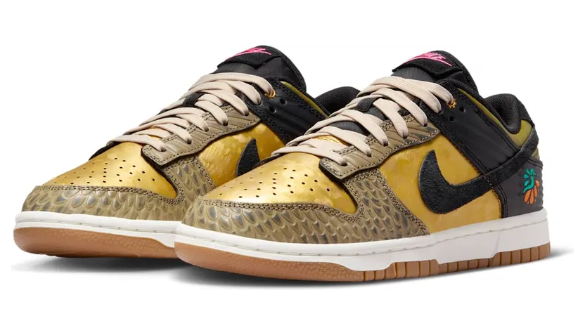 nike-dunk FQ8148-010