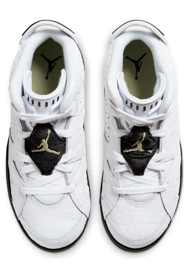 air-jordan-6 384666-110