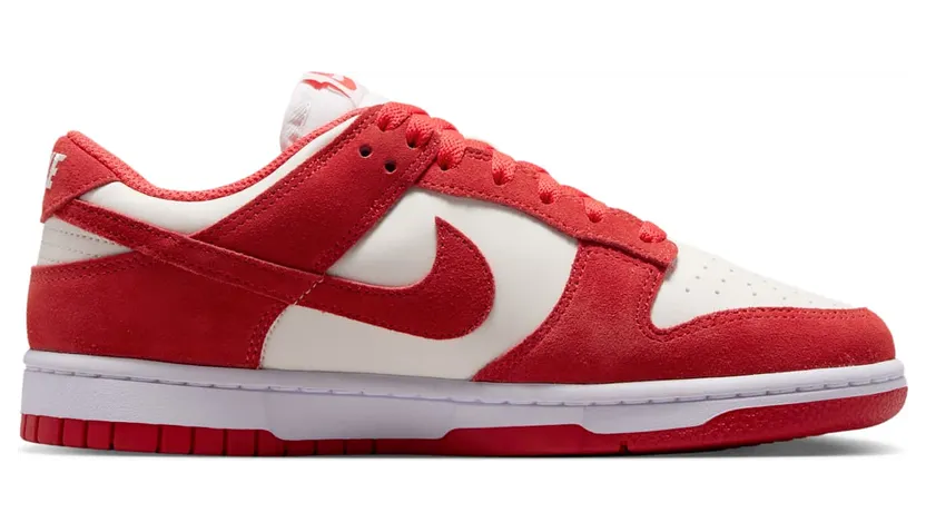 nike-dunk IO4244-103