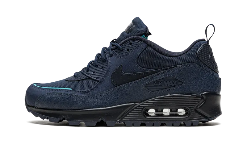 Nike Air Max 90 Surplus Blue (DC9389-400)