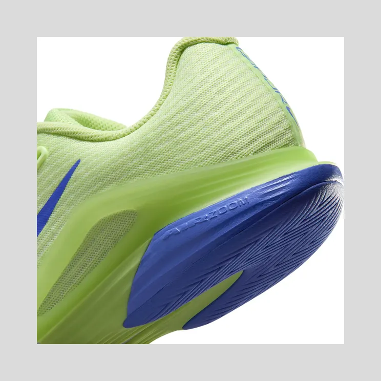 nikecourt FV5554-300