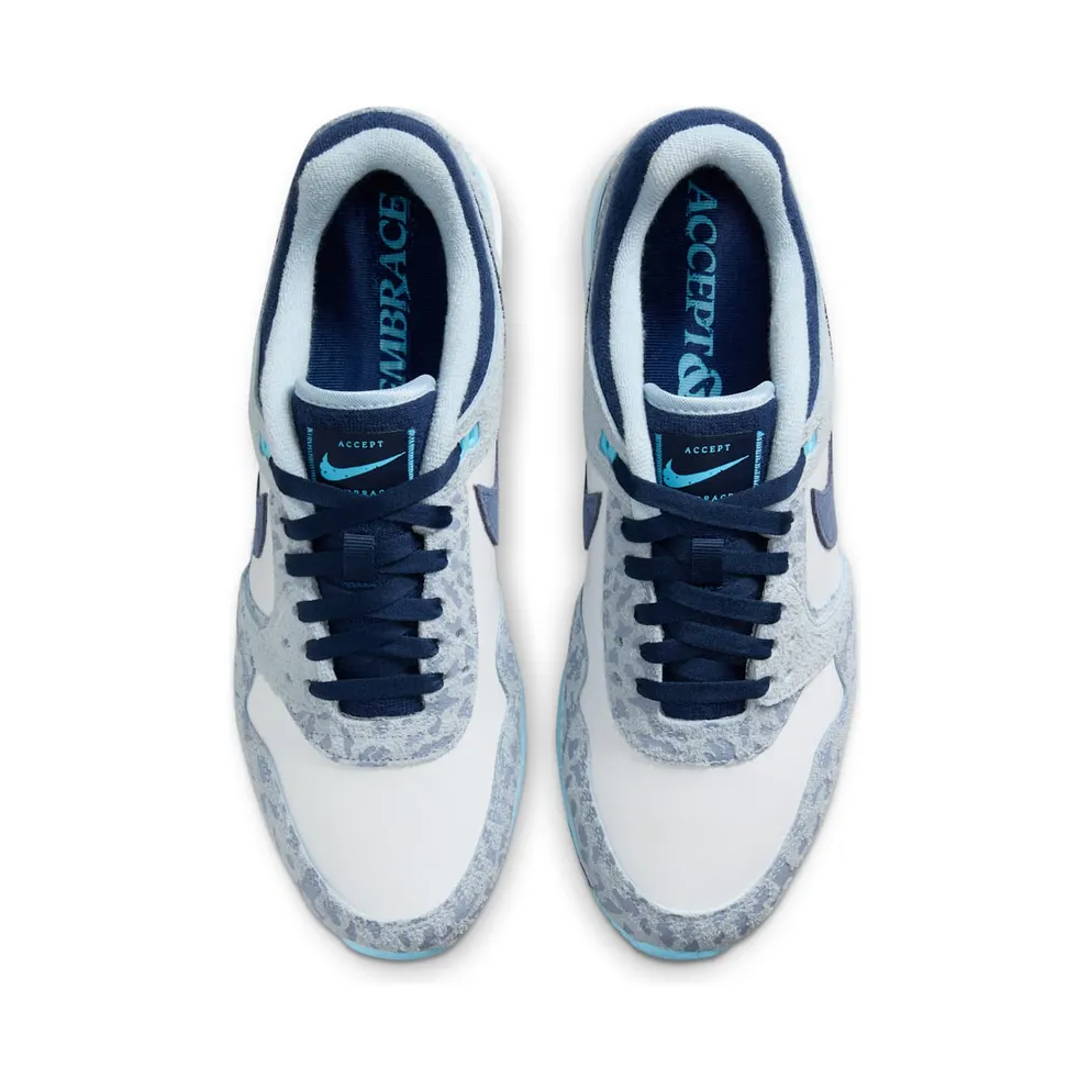 Nike Air Pegasus ’89 Golf NRG Accept and Embrace (FN6914-400)