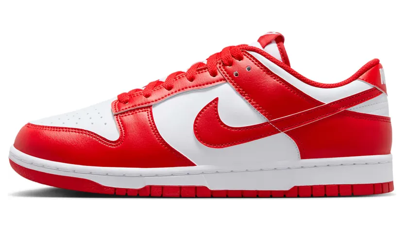 Nike Dunk Low HF5441-104