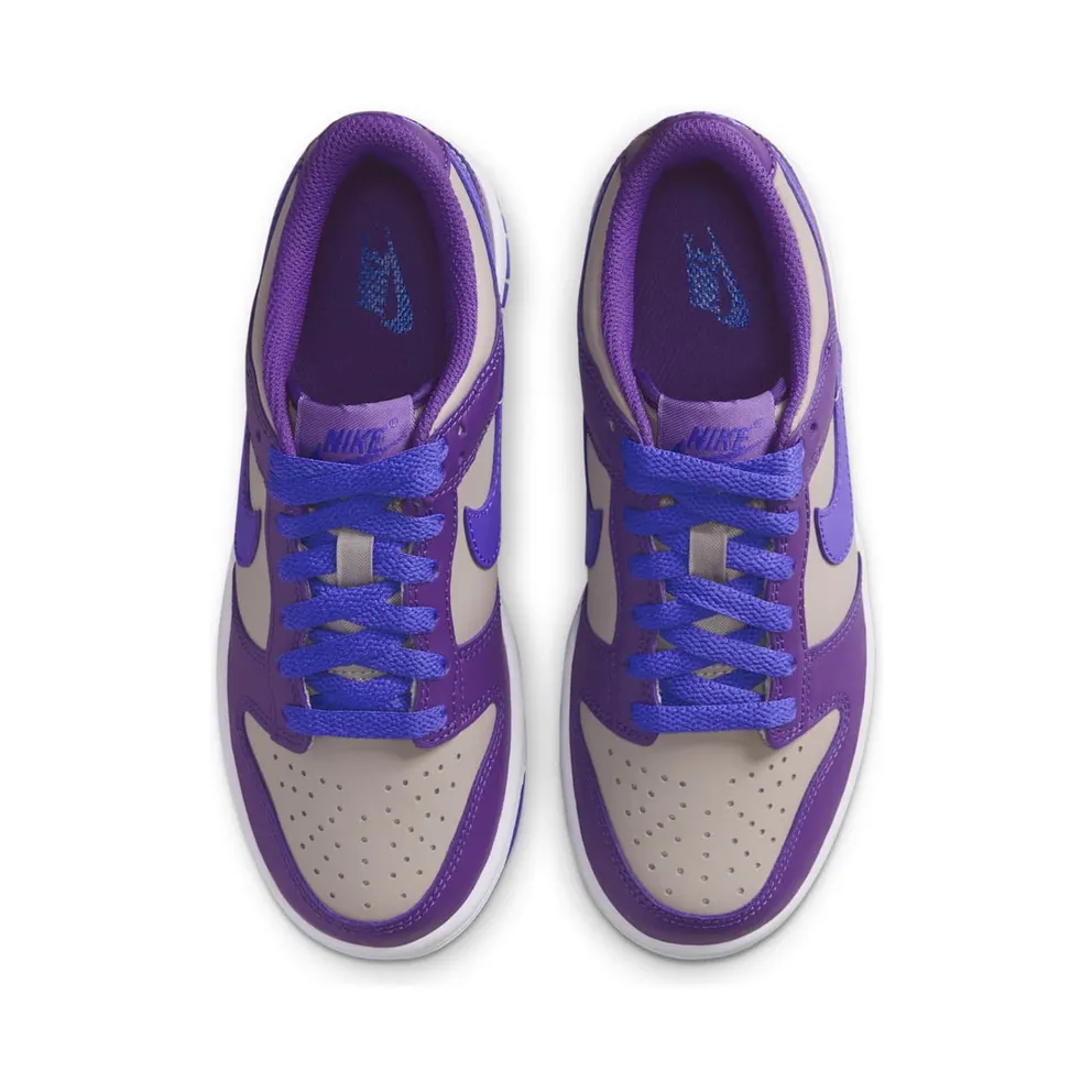 Nike Dunk Low Wild Grape (FB9109-007)