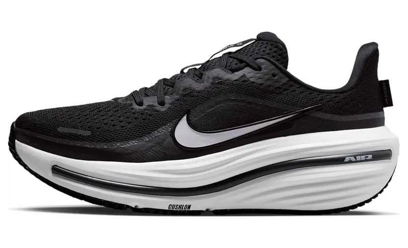 Nike Winflo 12 Zwart (HV9273-002)