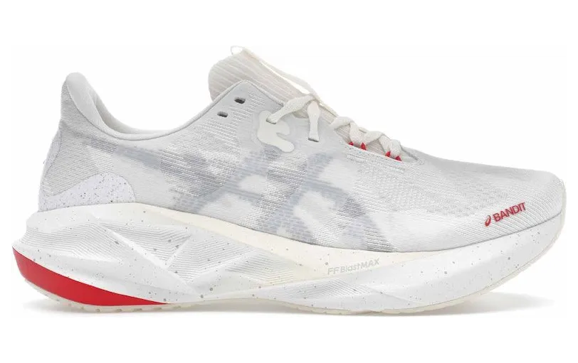asics-novablast 1011C118-020