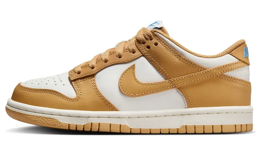 Nike Dunk Low FB9109-700