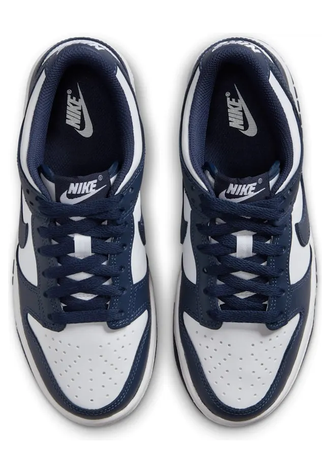 nike-dunk FB9109-116