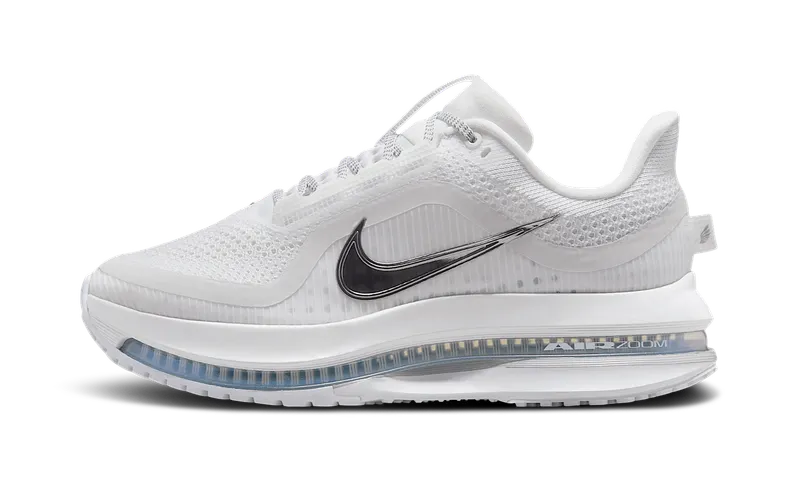 Nike Pegasus Premium “White Metallic Silver” (HQ2593-102)