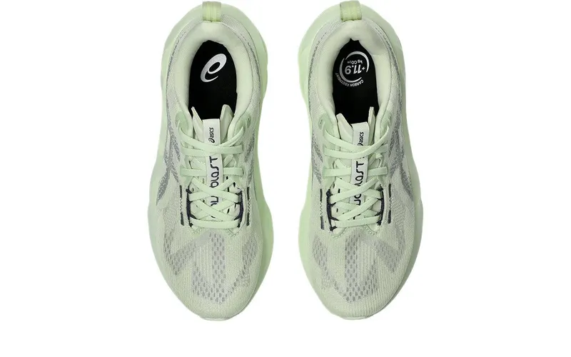 ASICS Novablast 5 Whisper Green Monument Blue (1012B765-301)