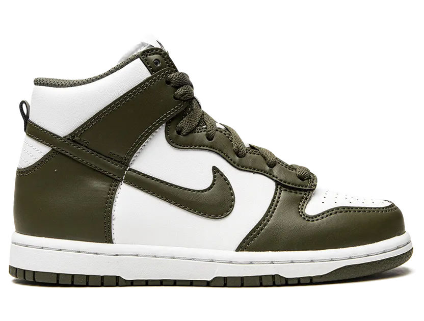nike-dunk DD2314-105