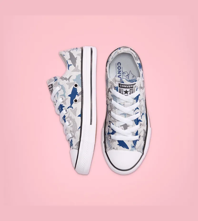 converse-chuck-taylor-all-star 666890C