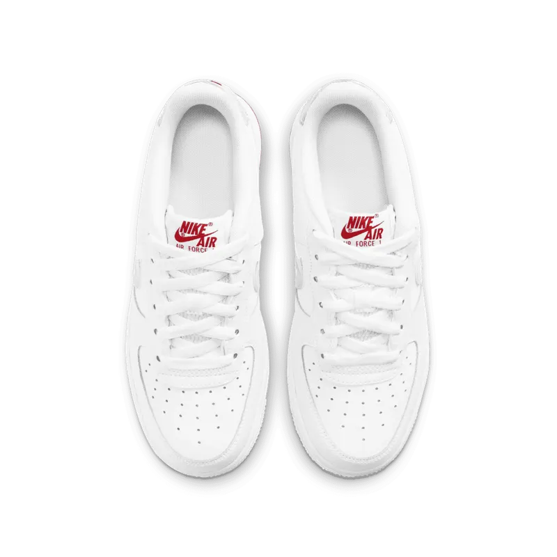 Nike Air Force 1 Low Topography Swoosh (GS) (DJ4625-100)