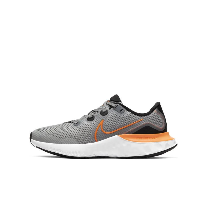 Nike Renew Run Light Smoke Grey (GS) Light Smoke Grey/Black/White (CT1430-070)