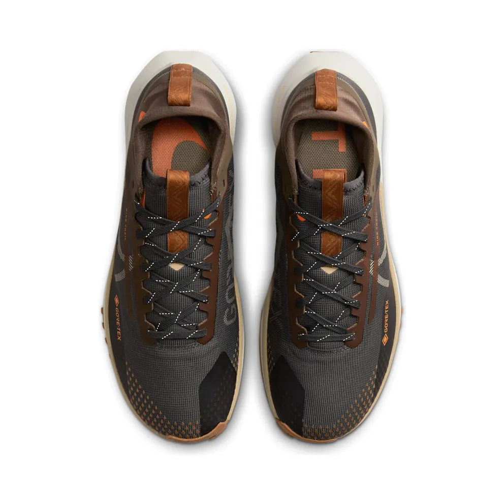 Nike Pegasus Trail 4 Gore-Tex Anthracite Ironstone (FD5841-001)