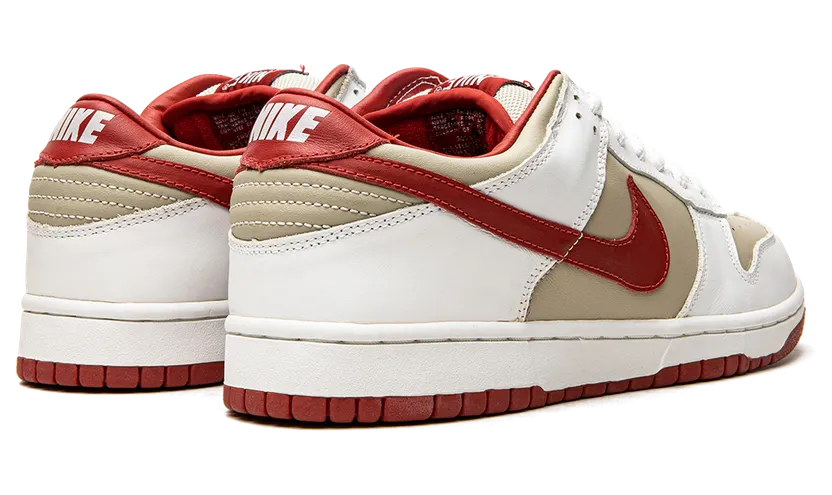 nike-dunk 302517-161