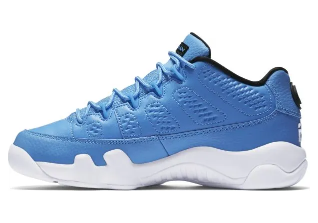 air-jordan-9 833447-401