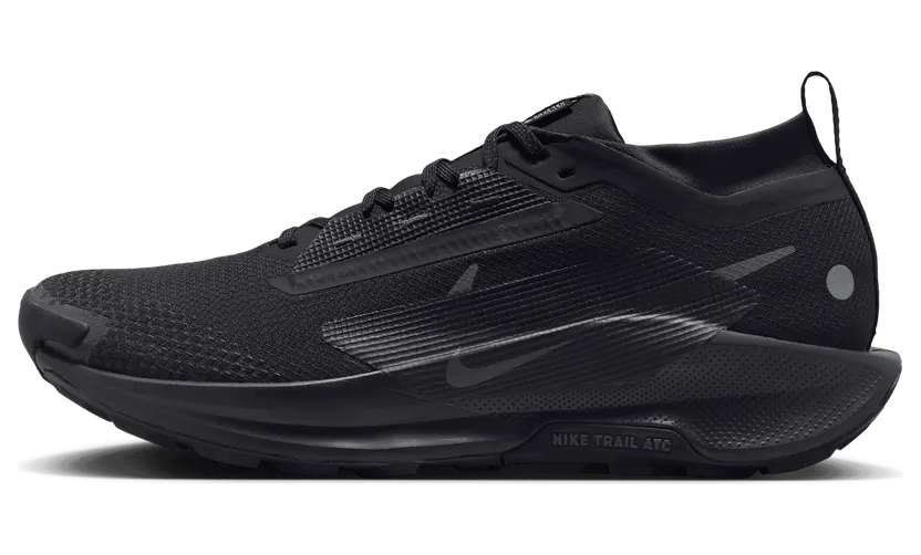 Nike React Pegasus Trail 5 Gore-Tex Black Anthracite (FQ0908-002)