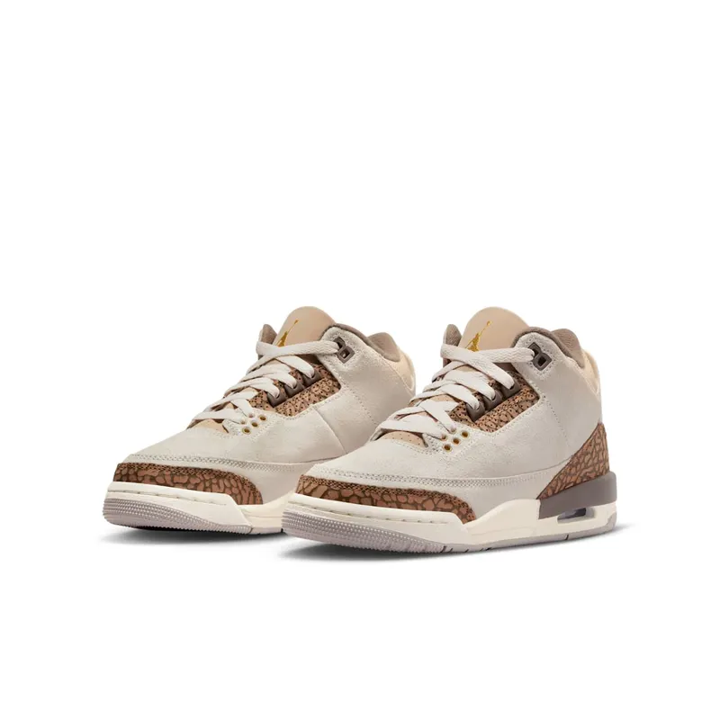 Air Jordan 3 GS “Palomino” (DM0967-102)