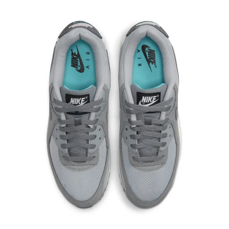 Nike Air Max 90 Grey (DM0029-002)