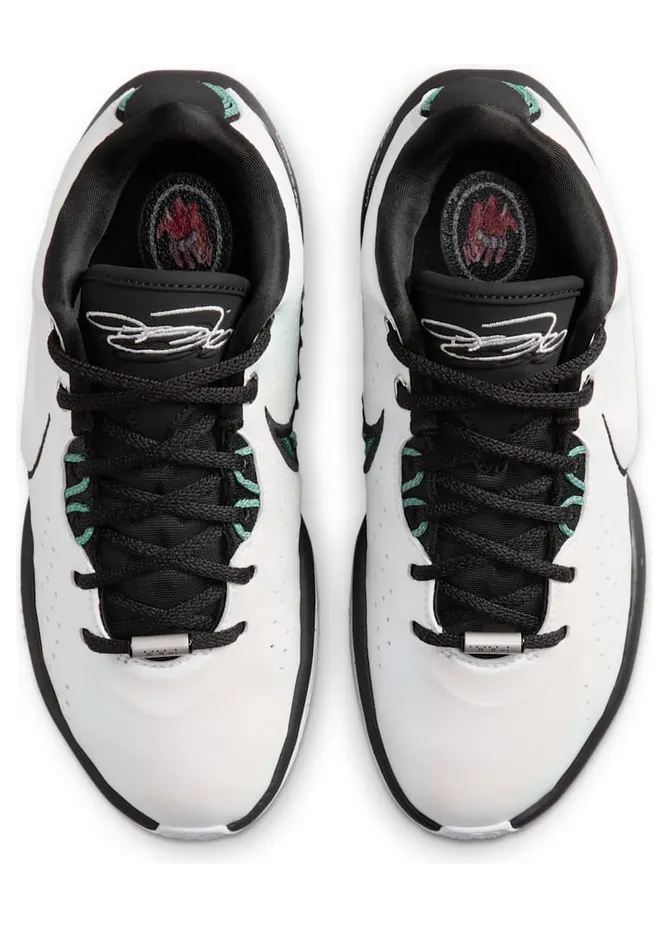 nike-lebron FZ7189-100