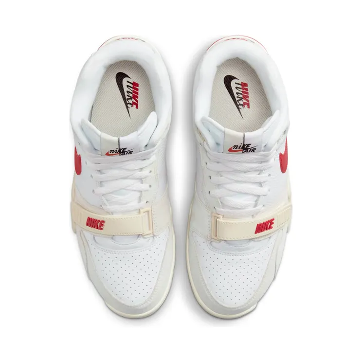 air-jordan-trainer-1 DZ2547-100