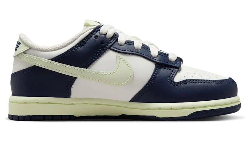 nike-dunk FB9108-127