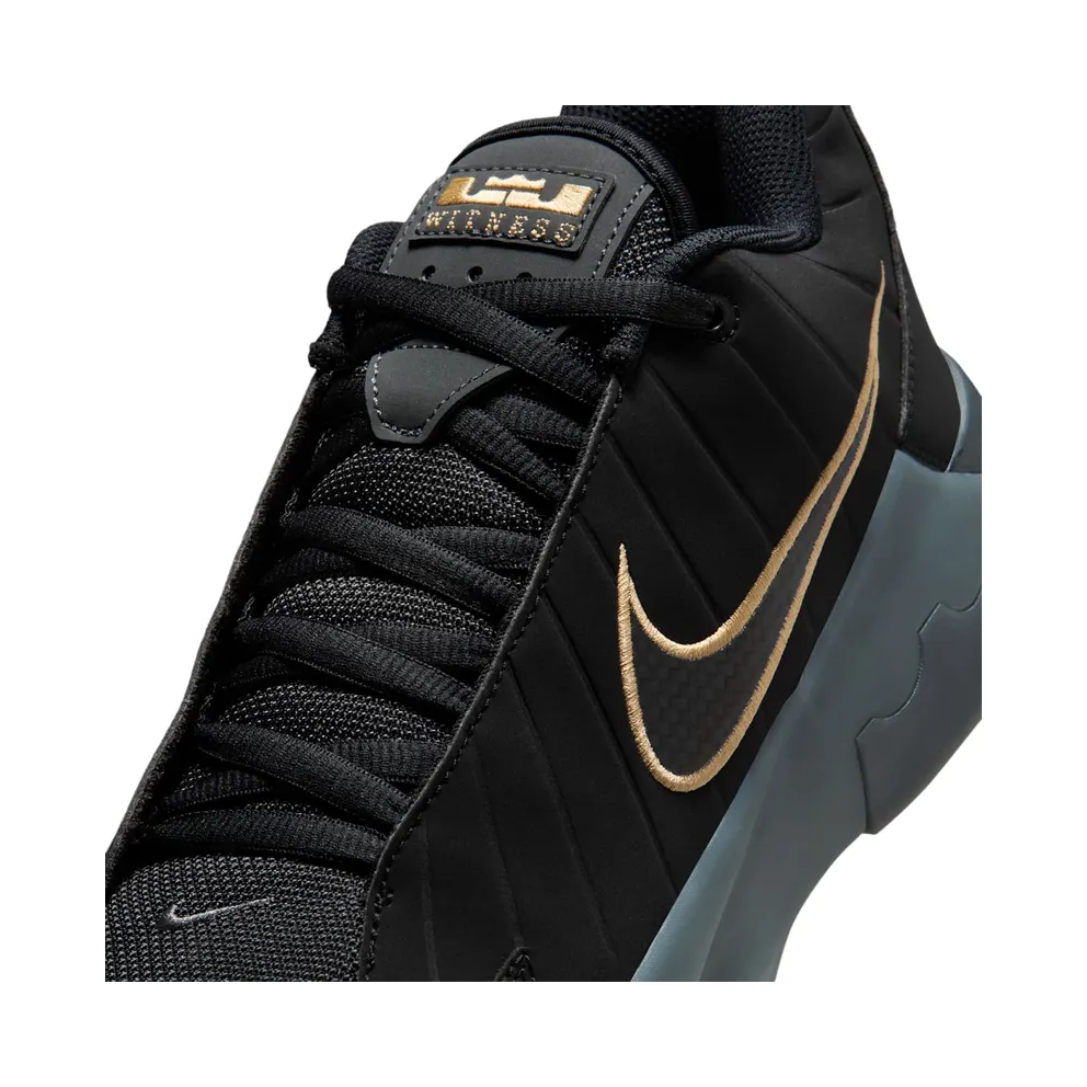 Nike LeBron Black/Iron Grey/Dark Smoke Grey/Black (HQ8034-003)