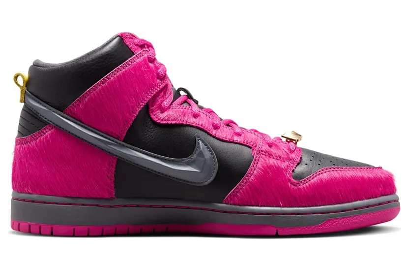 nike-dunk-sb DX4356-600