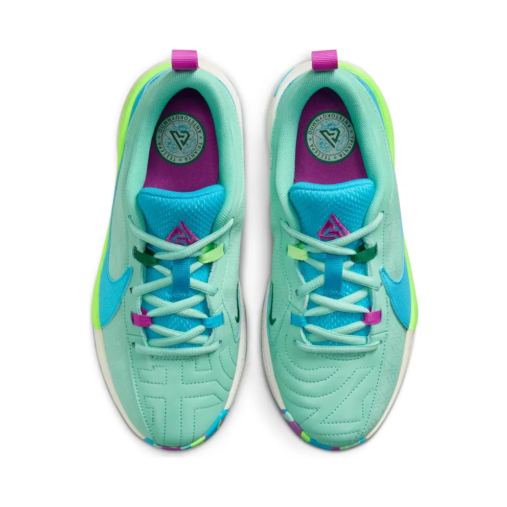 Nike Zoom Freak 5 Greece x Nigeria (DZ4486-300)