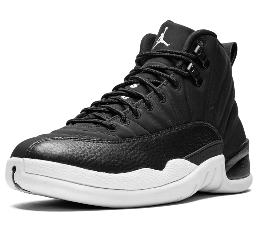 air-jordan-12 572646-849