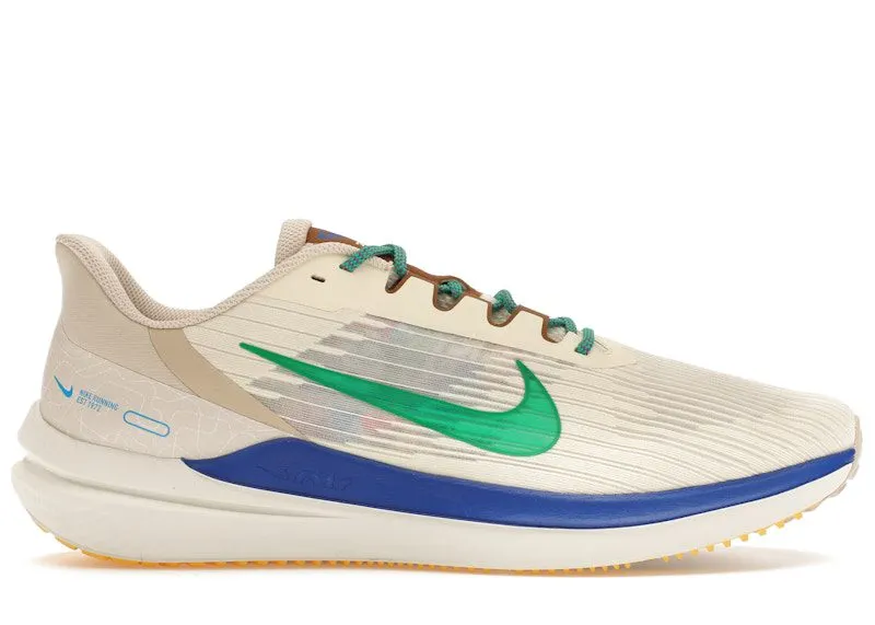 Nike Winflo 9 Premium Nike Moving Company (DV8997-100)